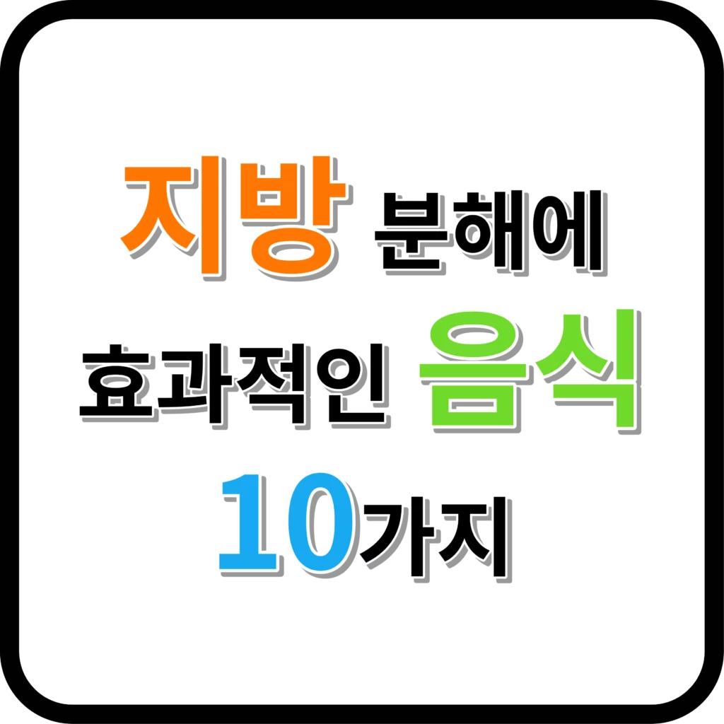 지방 분해에 효과적인 음식 10가지 다이어트 효능과 섭취 방법