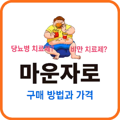 마운자로는 당뇨병 치료제인가, 비만 치료제인가