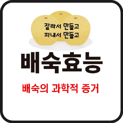 배숙 효능에 대한 과학적 증거