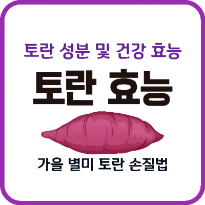 토란 효능과 성분