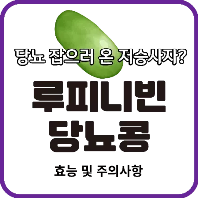 루피니빈 당뇨 잡으러 온 저승사자