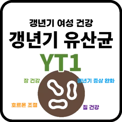 갱년기 유산균 YT1