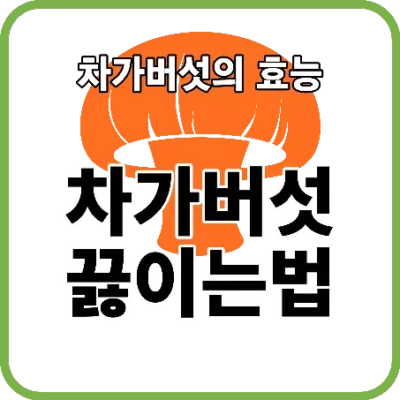 차가버섯 끓이는법