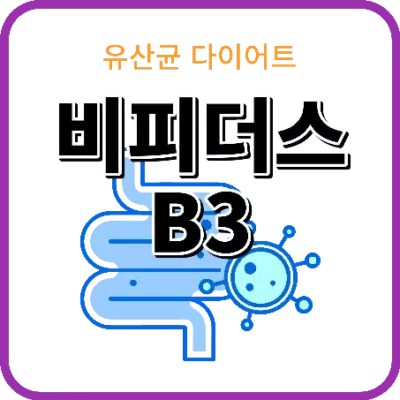 비피더스 B3