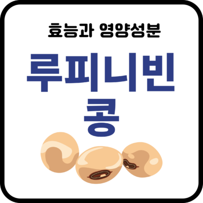 루피니빈 콩
