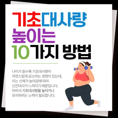 기초대사량