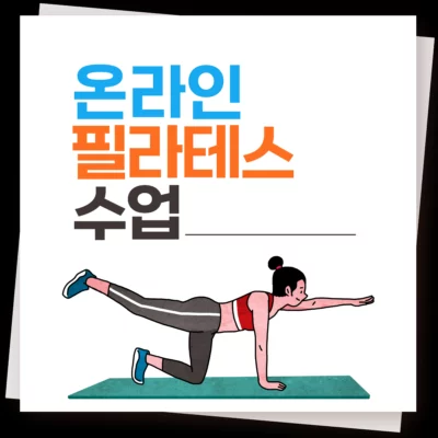 온라인 필라테스 수업