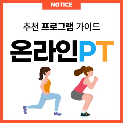 온라인 PT